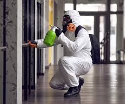 Best Mold Prevention Services  in Hilltop, MN